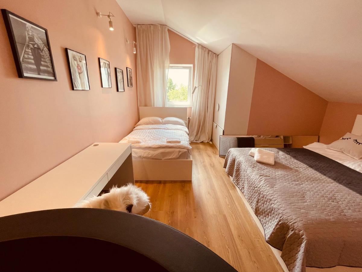 Apartamenty Ktw Penthouse Z Tarasem Katowice Eksteriør bilde